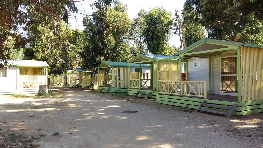 Le Camping De La Plage Aregno ภายนอก รูปภาพ